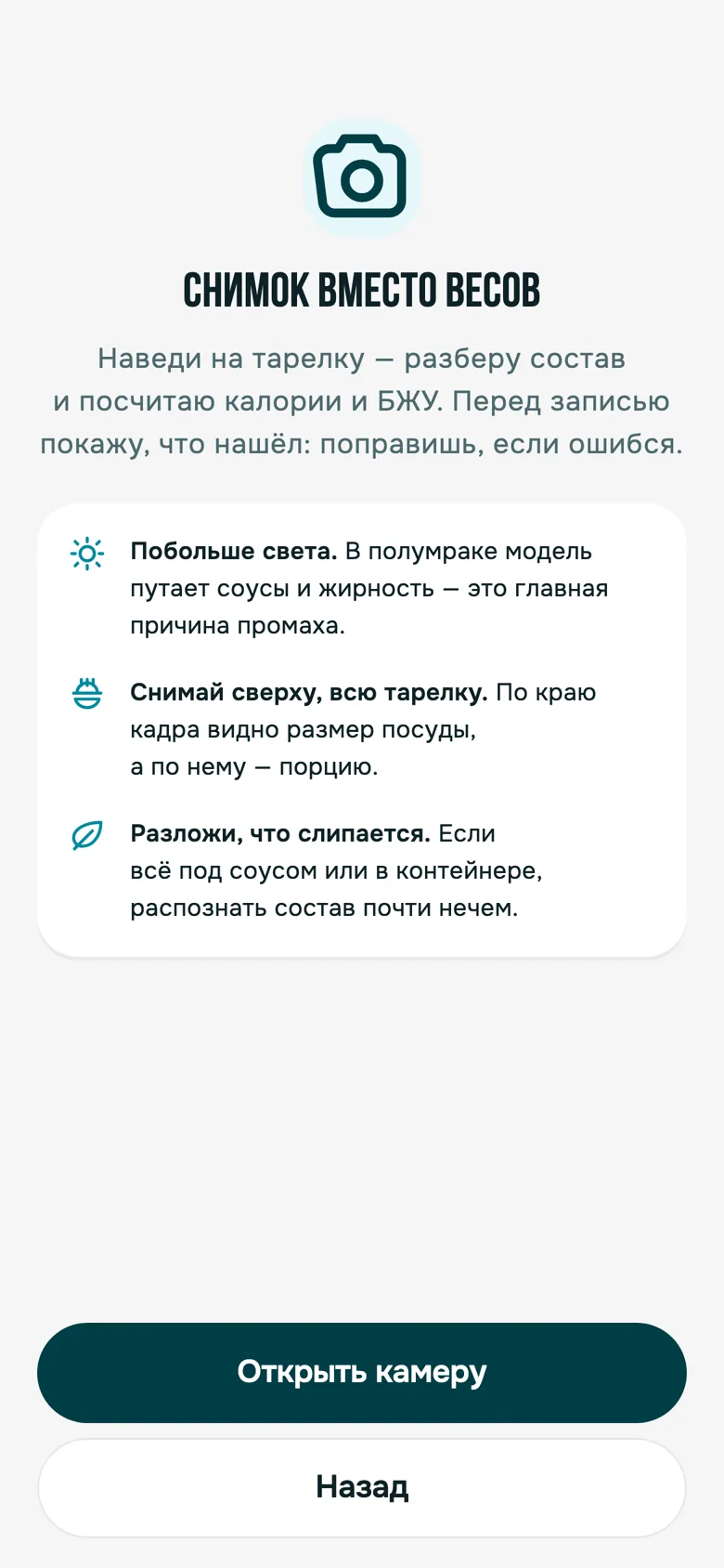 Подсказка перед снимком тарелки